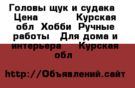 Головы щук и судака › Цена ­ 2 500 - Курская обл. Хобби. Ручные работы » Для дома и интерьера   . Курская обл.